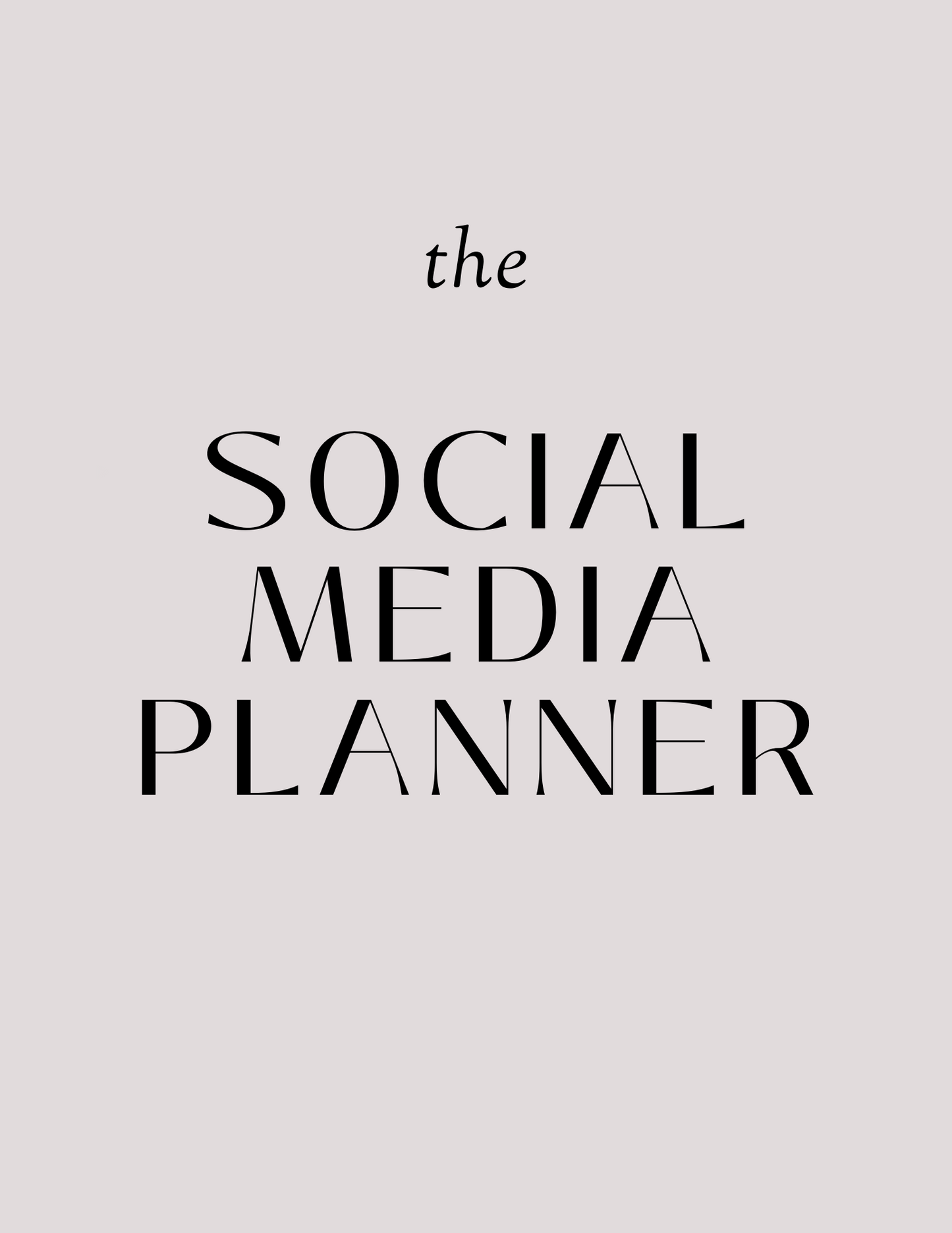 PLR SOCIAL MEDIA PLANNER